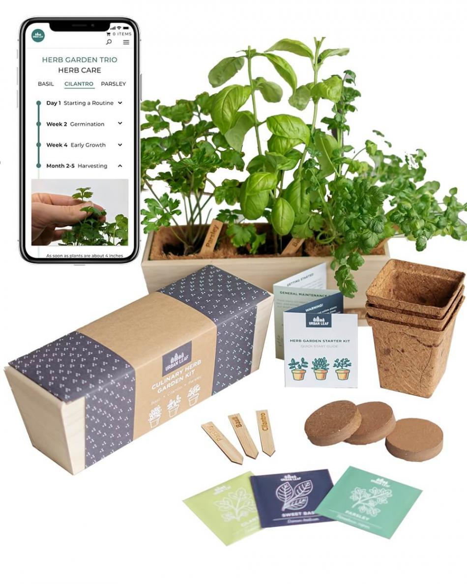 Herb Growing Kit 